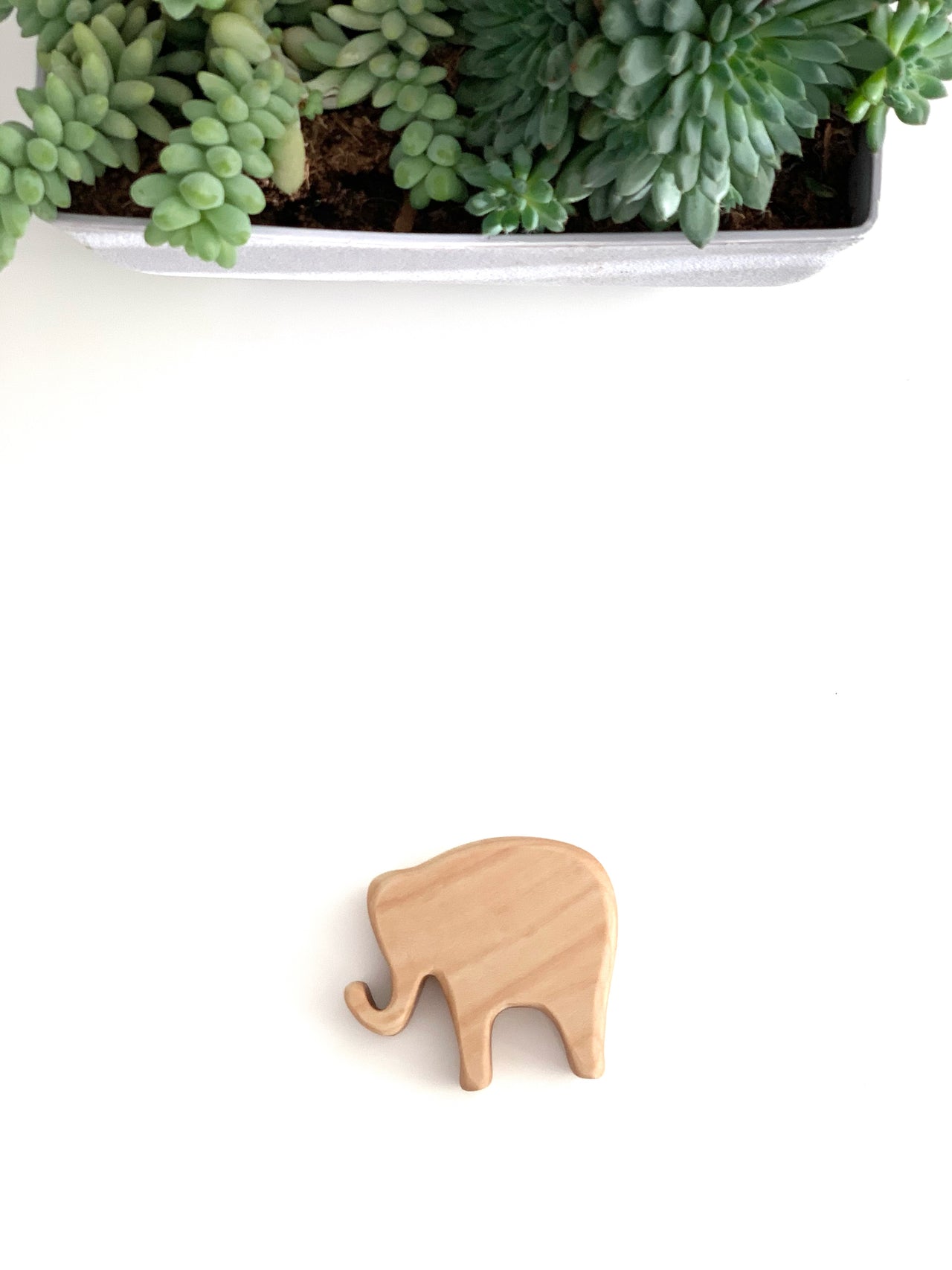 Small natural wooden elephant toy figurine with smooth edges on white background near green succulents