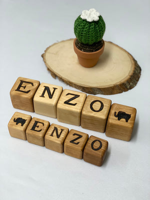 Natural wooden 1.5-inch custom blocks with engraved letters spelling ENZO and animal illustrations on white surface with knitted cactus decor