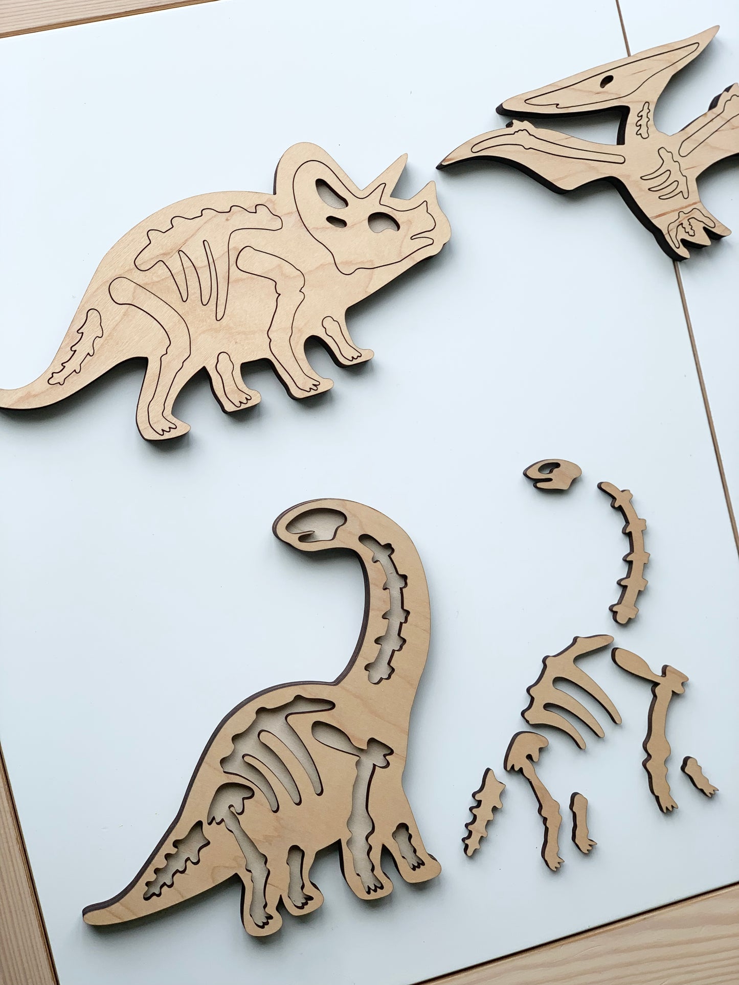 Dinosaur Skeleton/Bones Puzzles