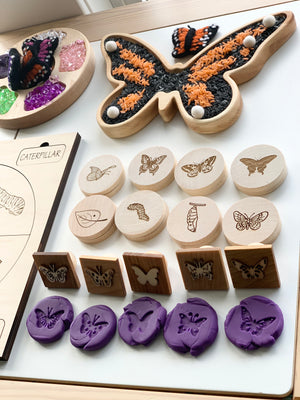 Wooden butterfly life cycle memory game pieces including discs, stamps, and butterfly-shaped tray with colored rice on white surface