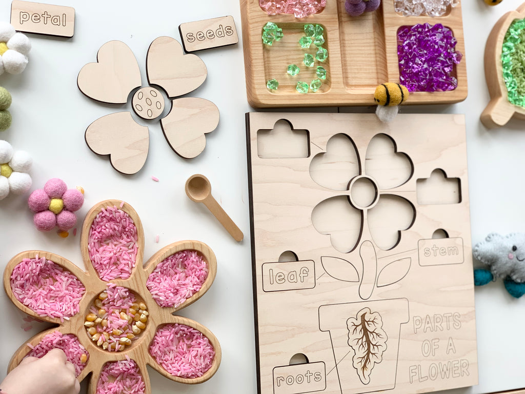 Natural wooden educational flower puzzle with labeled parts and colorful sensory trays on white surface