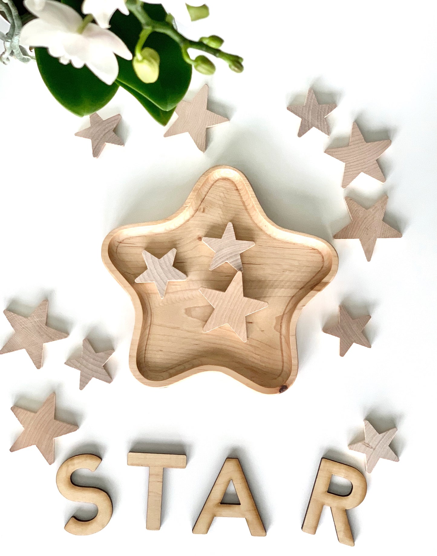 Star Plate / Sensory Tray