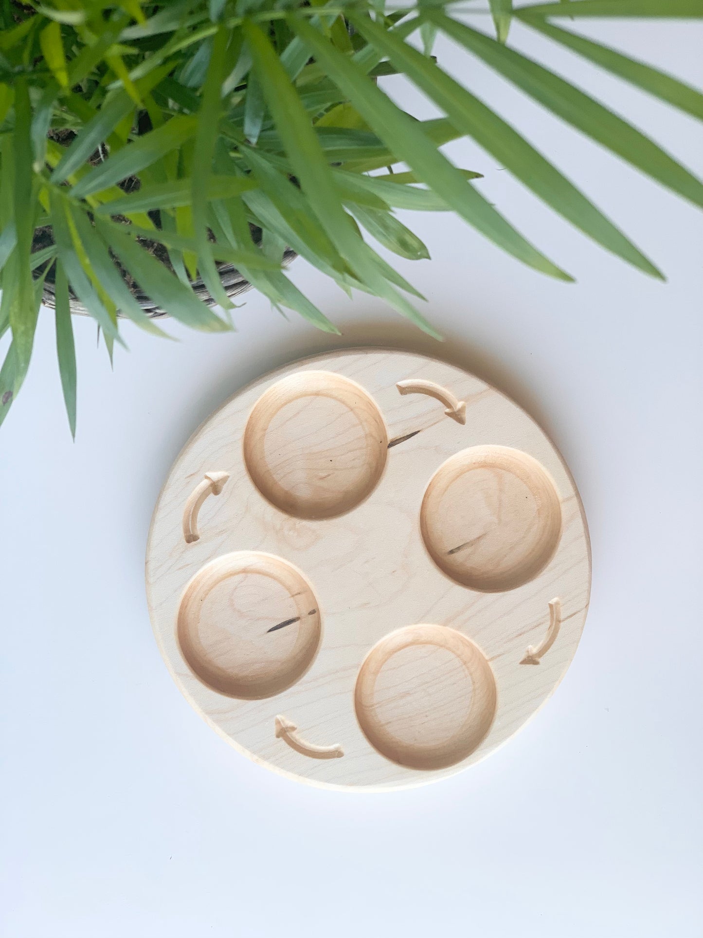 Life Cycle Sensory Tray — Regular Size