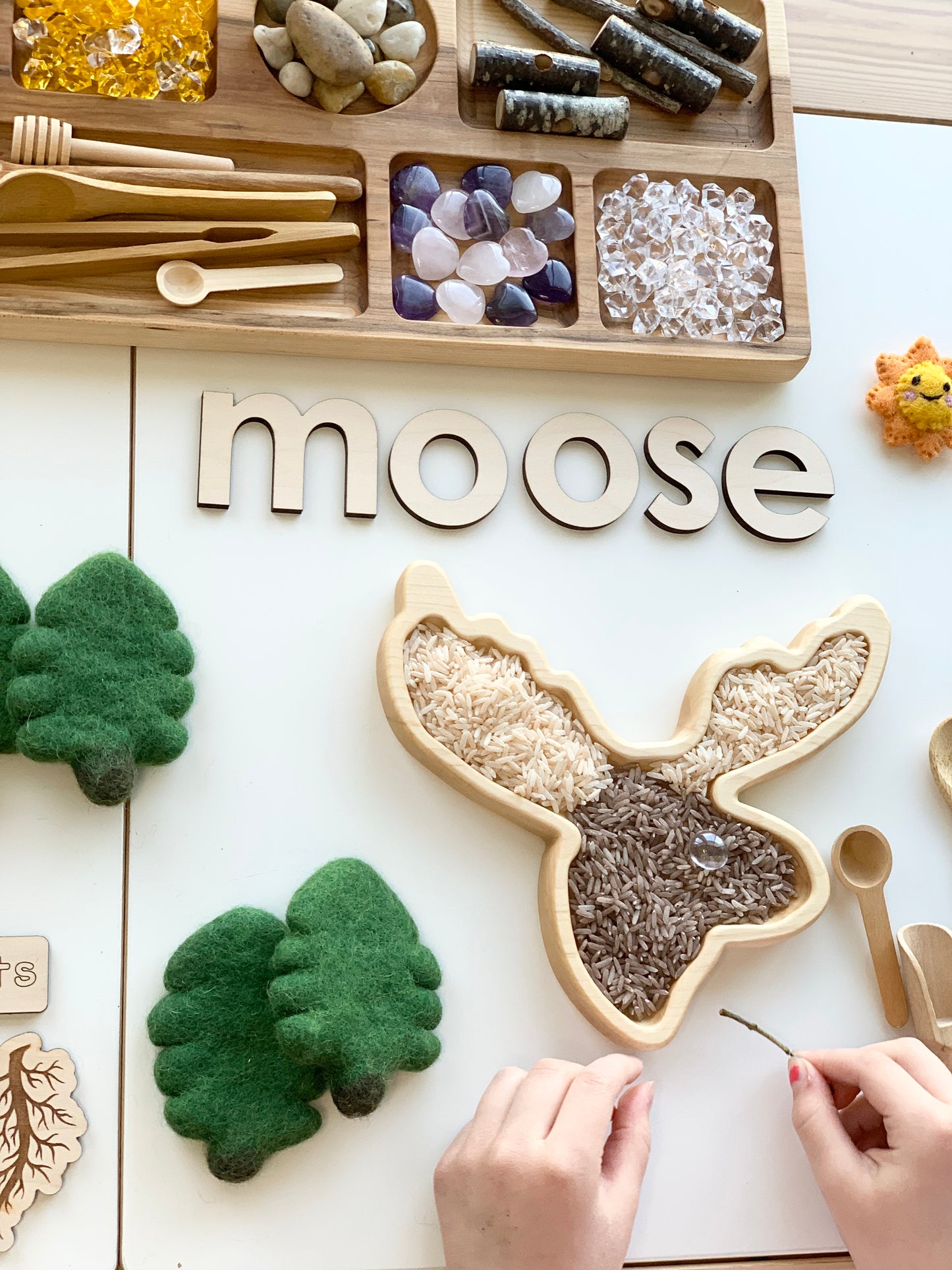Moose Plate / Sensory Tray
