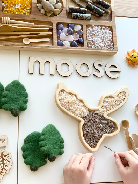 Moose Plate / Sensory Tray