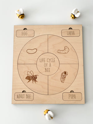 Wooden puzzle board illustrating the life cycle of a bee with engraved egg, larva, pupa, and adult bee stages on wood grain background