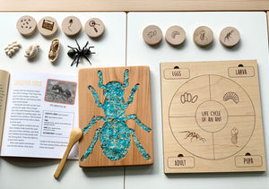 Wooden ant sensory tray with blue rice, engraved life cycle chart, wooden discs, wooden spoon and educational booklet on white table