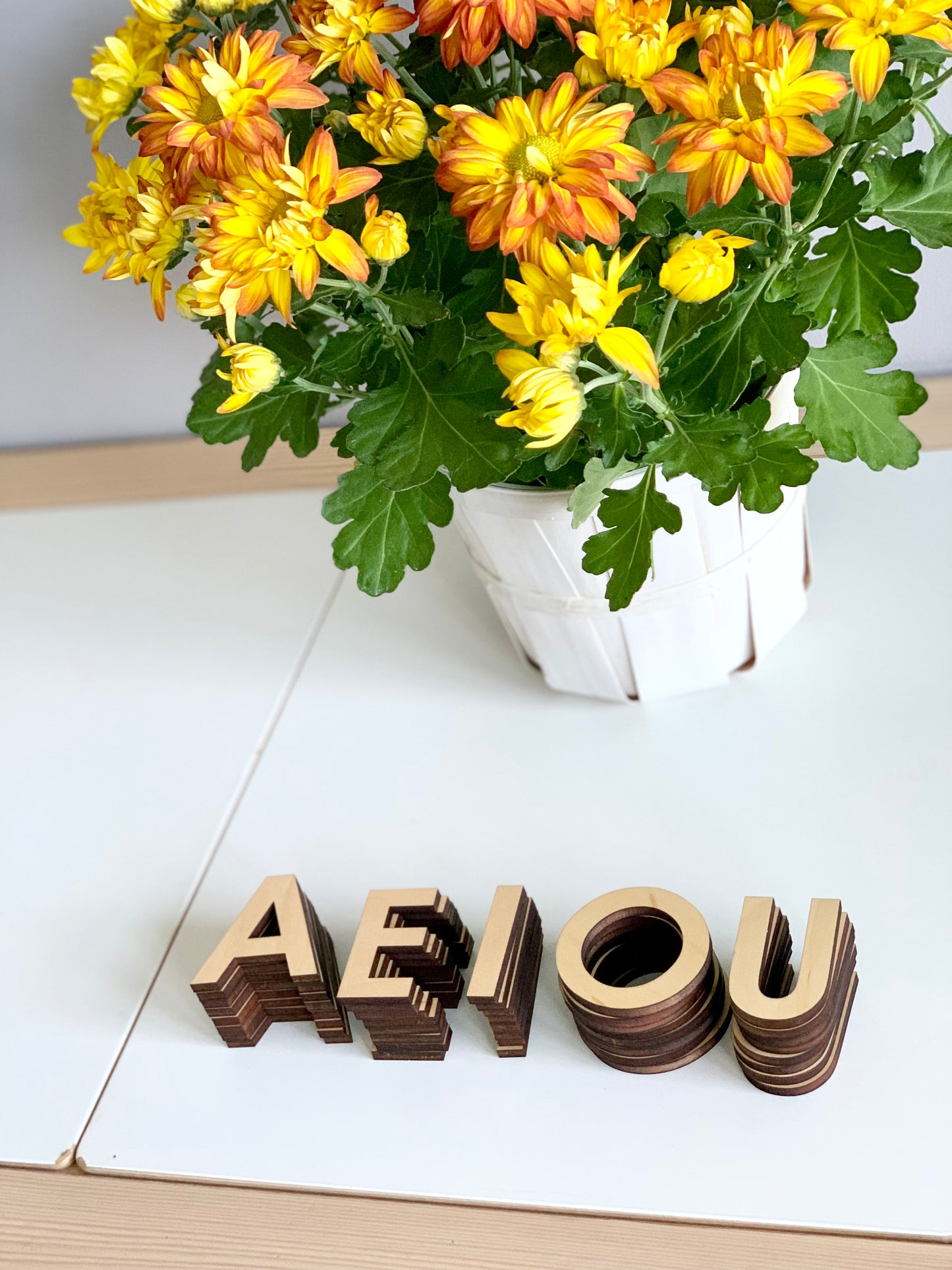 Wooden Uppercase Alphabet • Movable Alphabet Set Maple