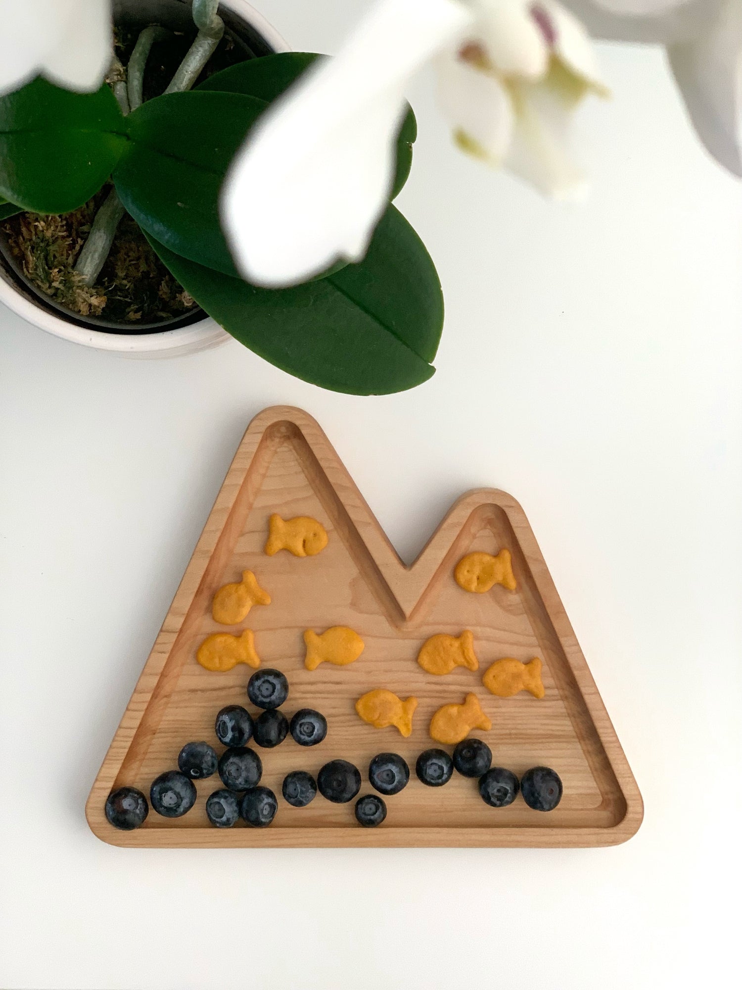 Natural wooden mountain-shaped sensory tray with goldfish crackers and blueberries on white surface near green plant
