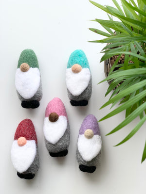 Five handmade felt gnomes in green, blue, red, pink, and purple hats arranged on white surface beside green plant