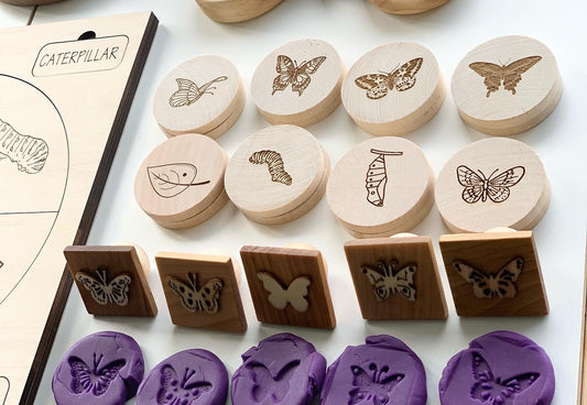 Butterfly Life Cycle Memory Game