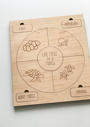 Natural wooden life cycle puzzle showing turtle stages with labeled sections engraved on light wood background
