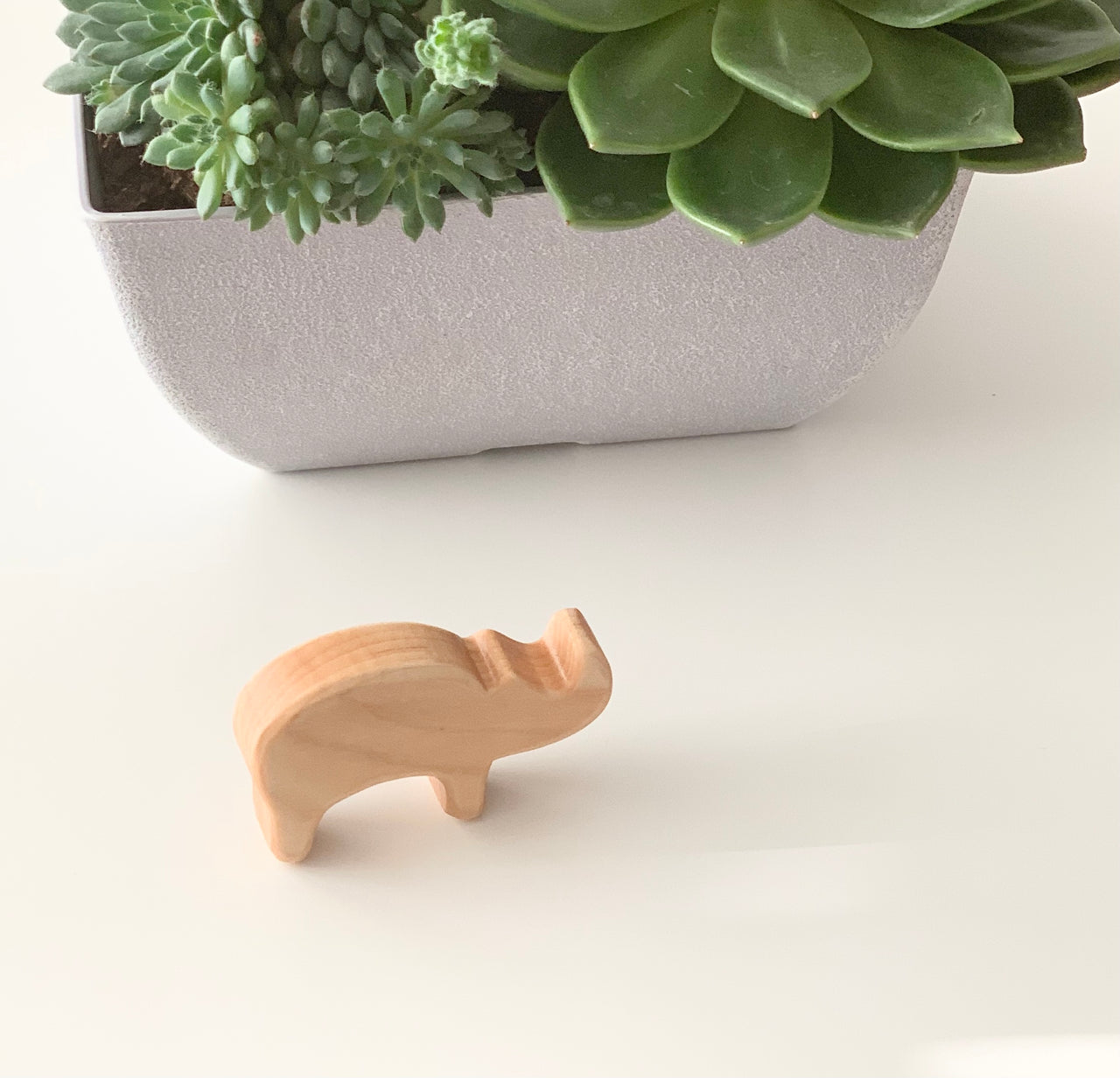Small natural wood rhinoceros toy figurine on white surface with green succulent plant in textured pot behind