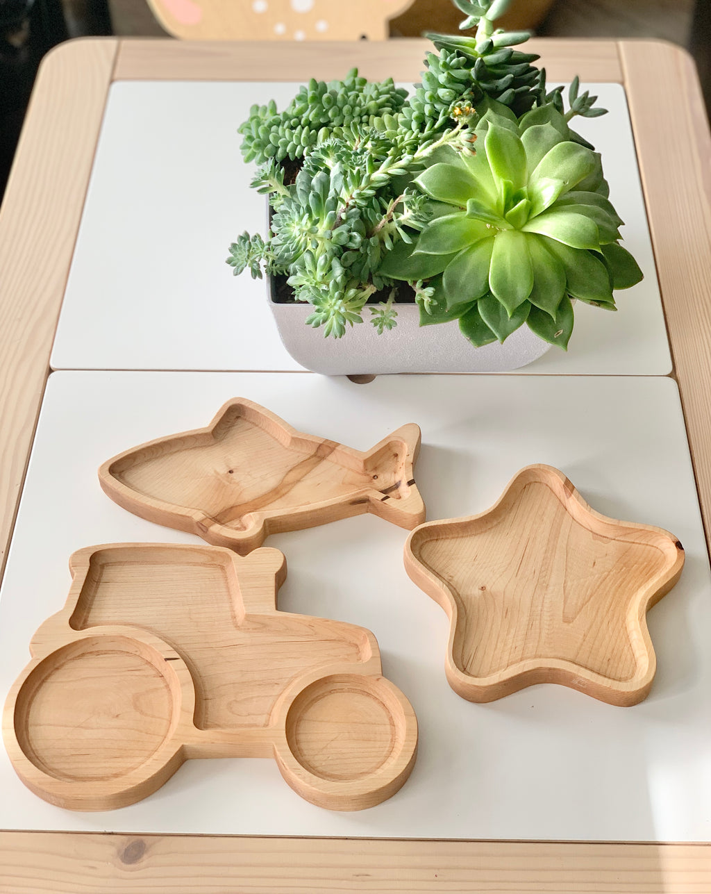 Set of three natural wood sensory trays shaped like a tractor, fish, and star on white and wood table with green succulent plant