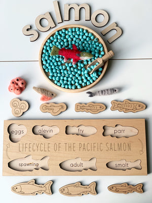 Natural wooden salmon life cycle puzzle with engraved stages and felt fish pieces on white background