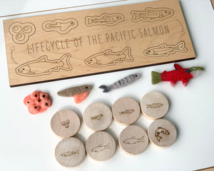 Wooden salmon life cycle memory game with engraved life stages and felt fish and egg models on white background