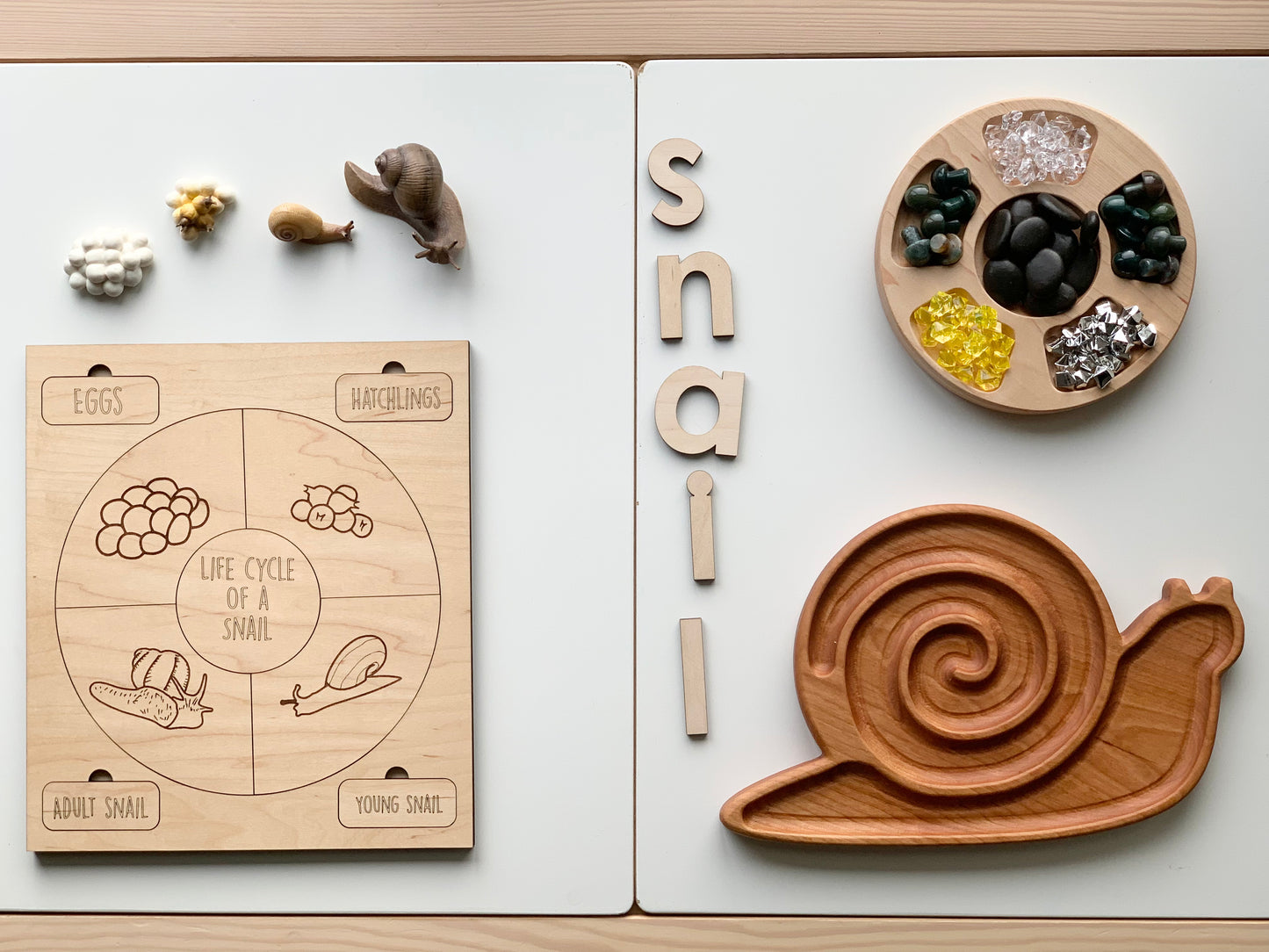 Snail Plate / Sensory Tray