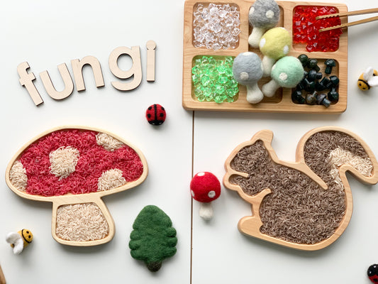 Squirrel Plate / Sensory Tray