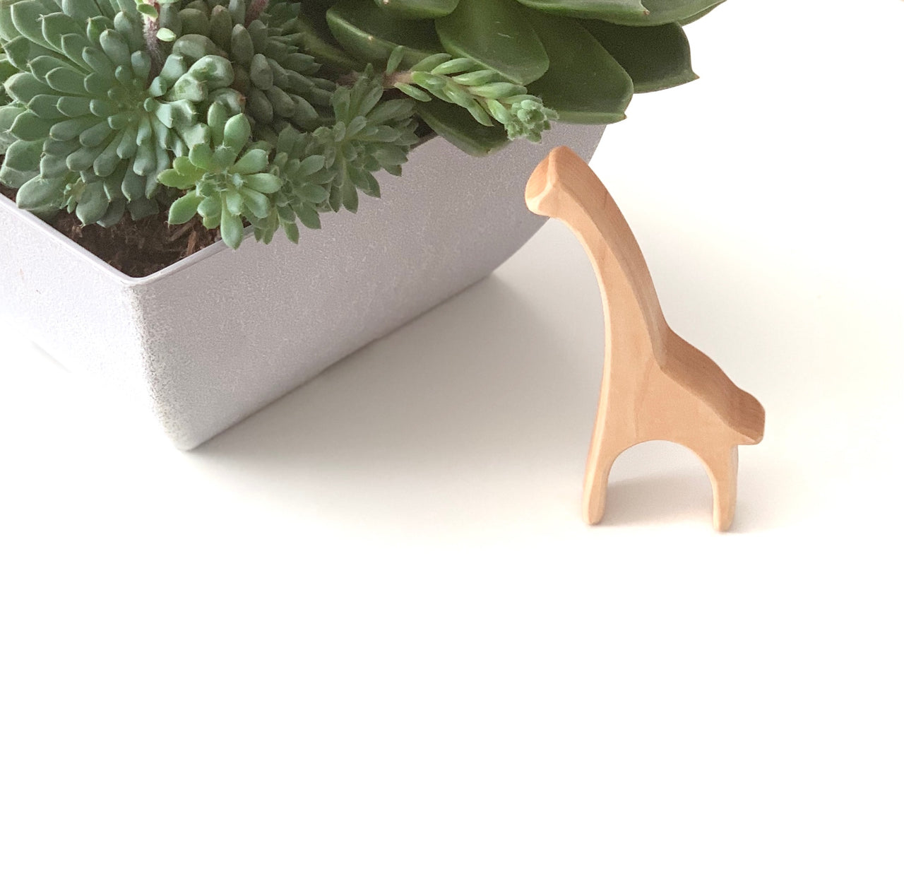 Simple natural wooden giraffe toy figurine standing next to a gray planter with green succulent plants on white surface