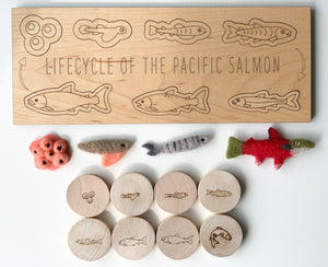 Natural wooden salmon life cycle puzzle pieces with engraved illustrations and colorful felt salmon stages on white background