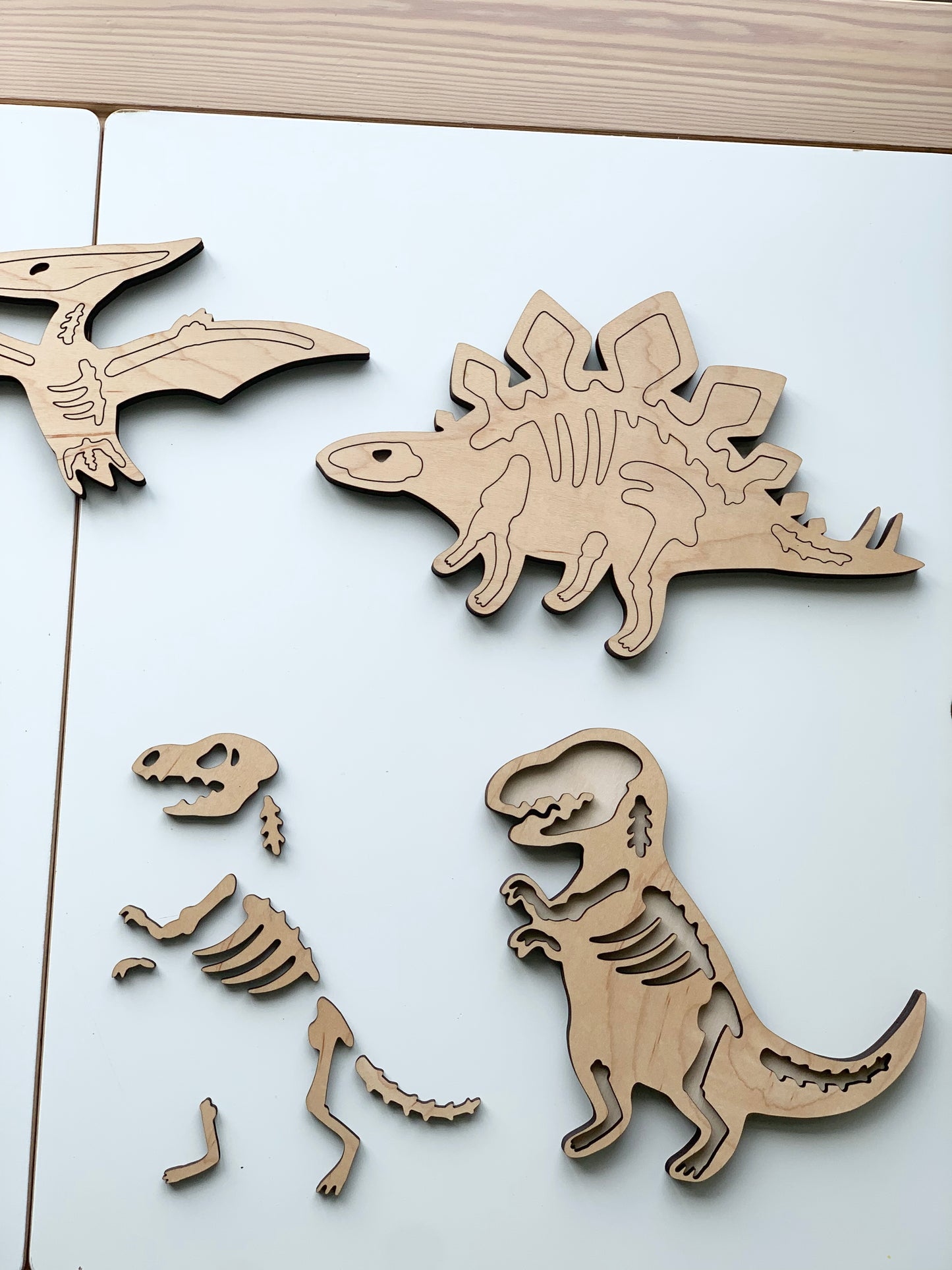 Dinosaur Skeleton/Bones Puzzles