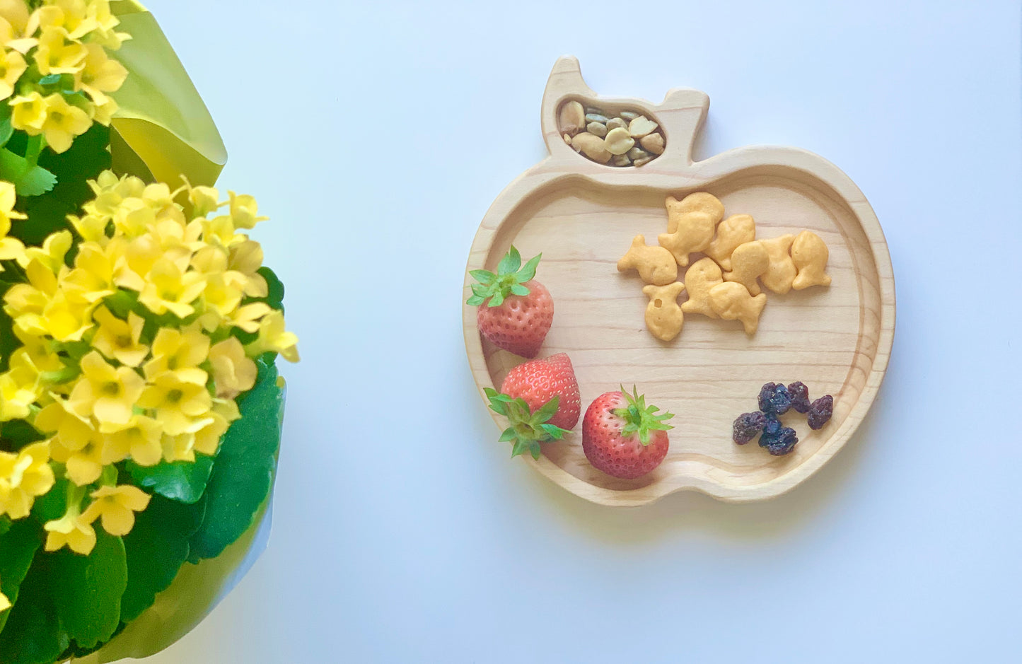 Apple Plate / Sensory Tray