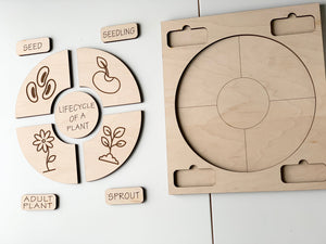 Natural wooden life cycle puzzle pieces illustrating plant growth stages with labeled cards and circular puzzle board on white surface