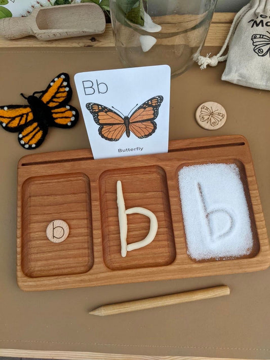 Three Section CVC | Read, Create, Write Tray | Salt, Sand & Flash Card Sensory Tray