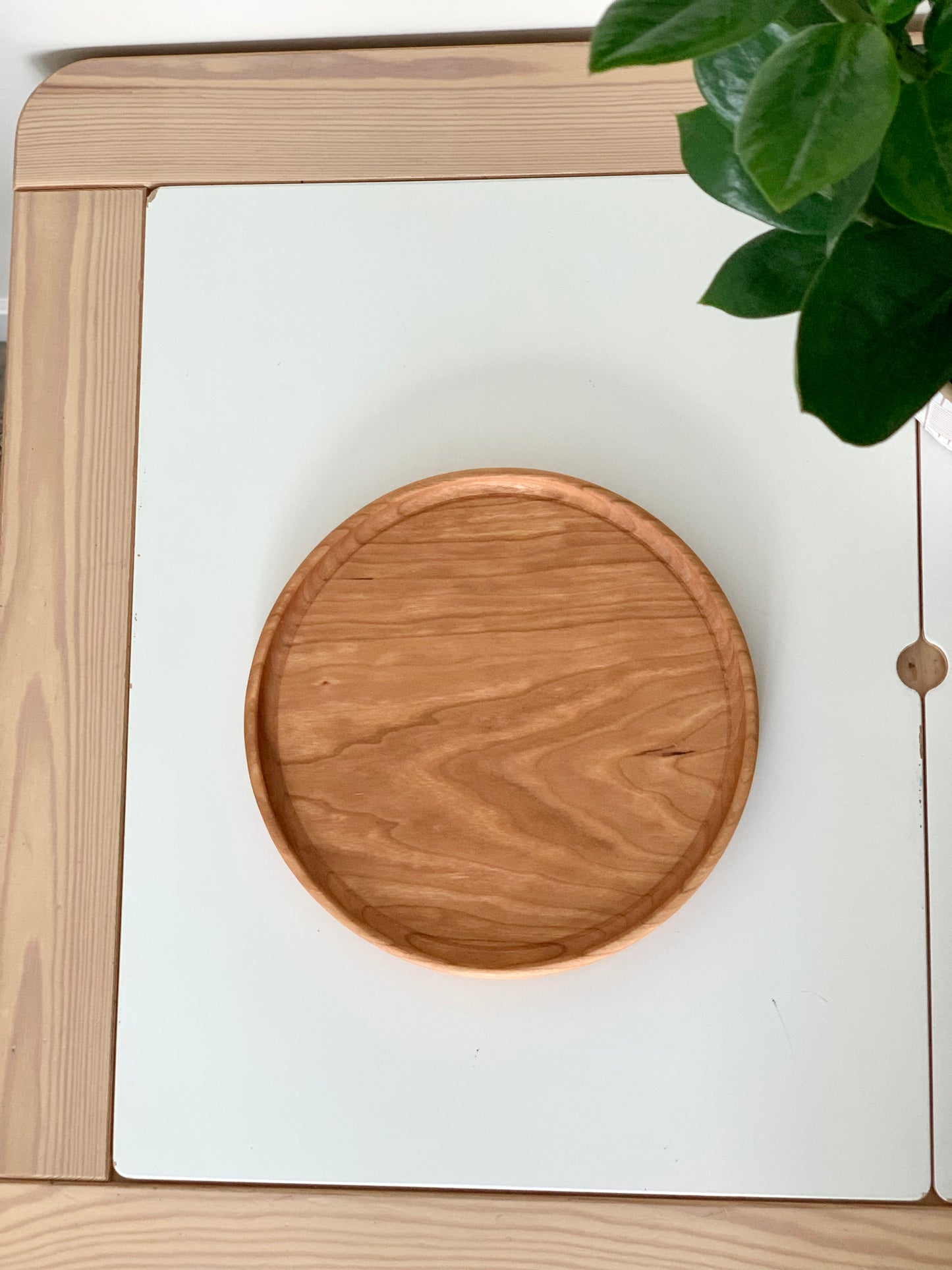 Large Circle Tray with Dry Erase Inserts / Basic Shape Plate