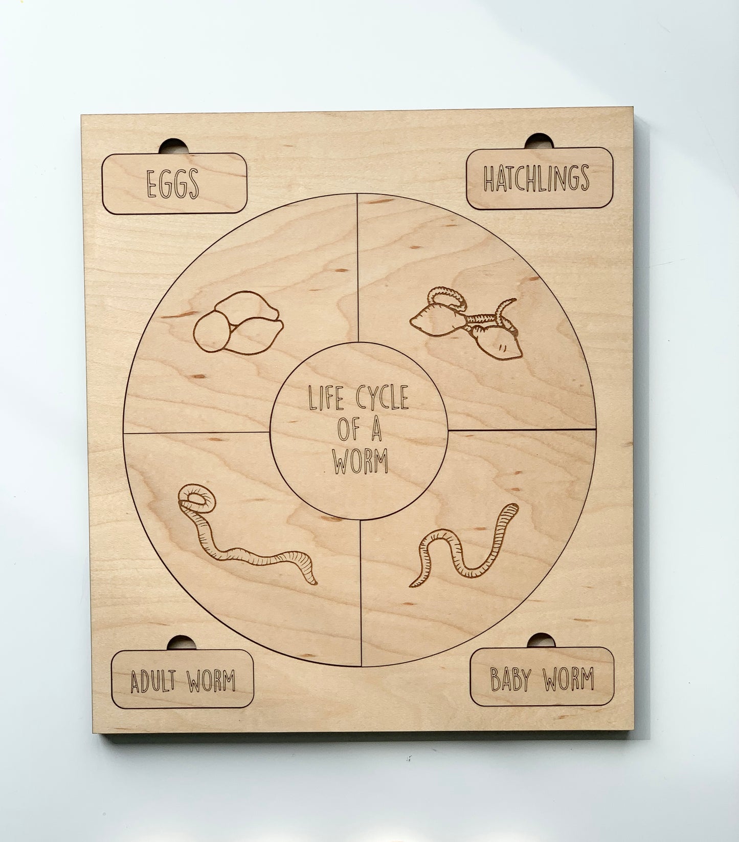 Life Cycle Puzzles