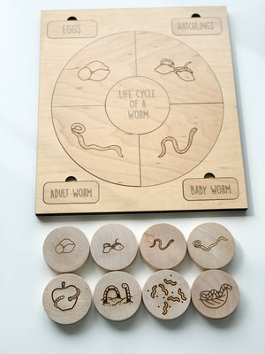 Natural wooden life cycle puzzle board with engraved worm stages and matching round wooden puzzle pieces on white background