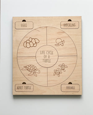 Natural wooden life cycle puzzle showing turtle stages from eggs to adult on light wood background