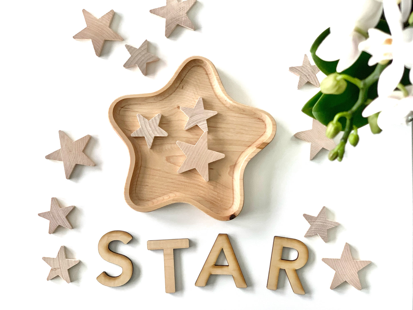 Star Plate / Sensory Tray