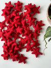 Rainbow Felt Stars