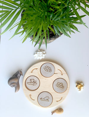 Natural wooden sensory tray with engraved life cycle images surrounded by snails and green plant on white surface