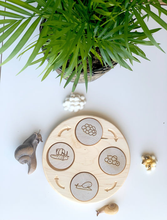 Life Cycle Sensory Tray — Regular Size