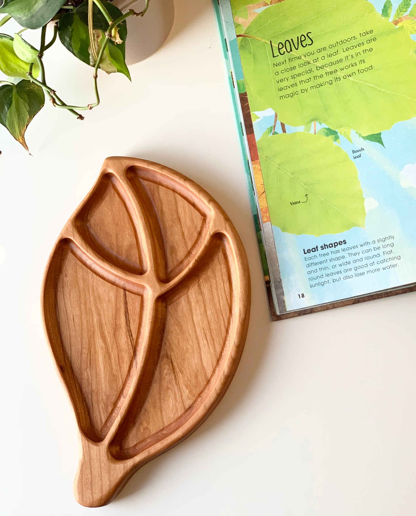 Leaf Shaped Tinker Sensory Tray / Plate