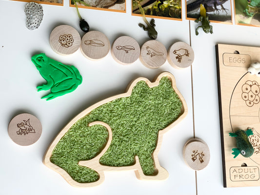 Frog Plate / Sensory Tray