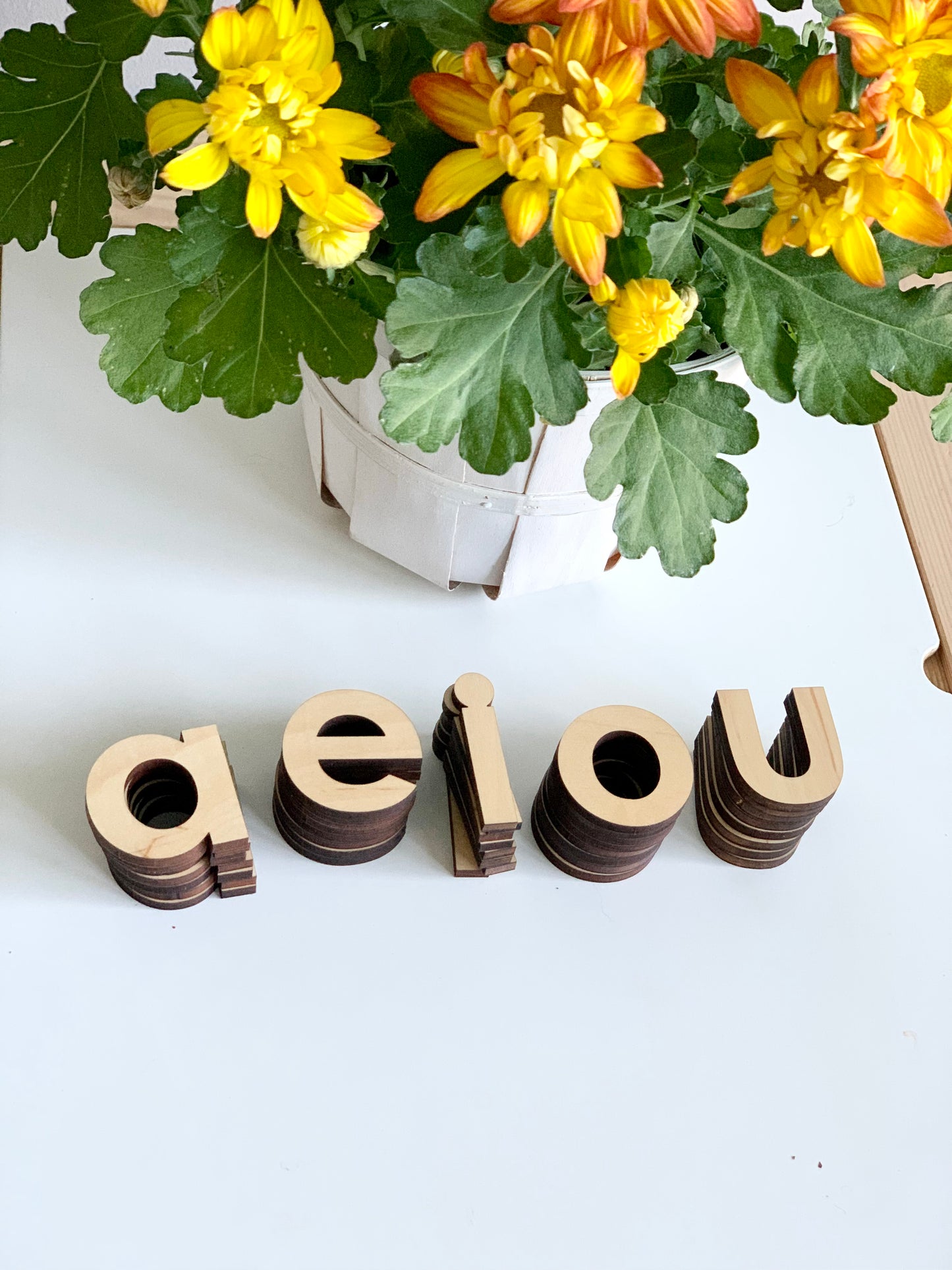 Wooden Lowercase Alphabet Set • Movable Alphabet Set Maple