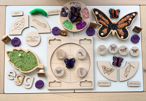 Educational wooden butterfly life cycle memory game with painted discs, stamps, and sorting trays on light wood table