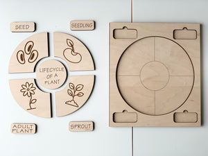 Natural wooden life cycle puzzle showing stages of a plant with labeled pieces and empty wooden board on white surface
