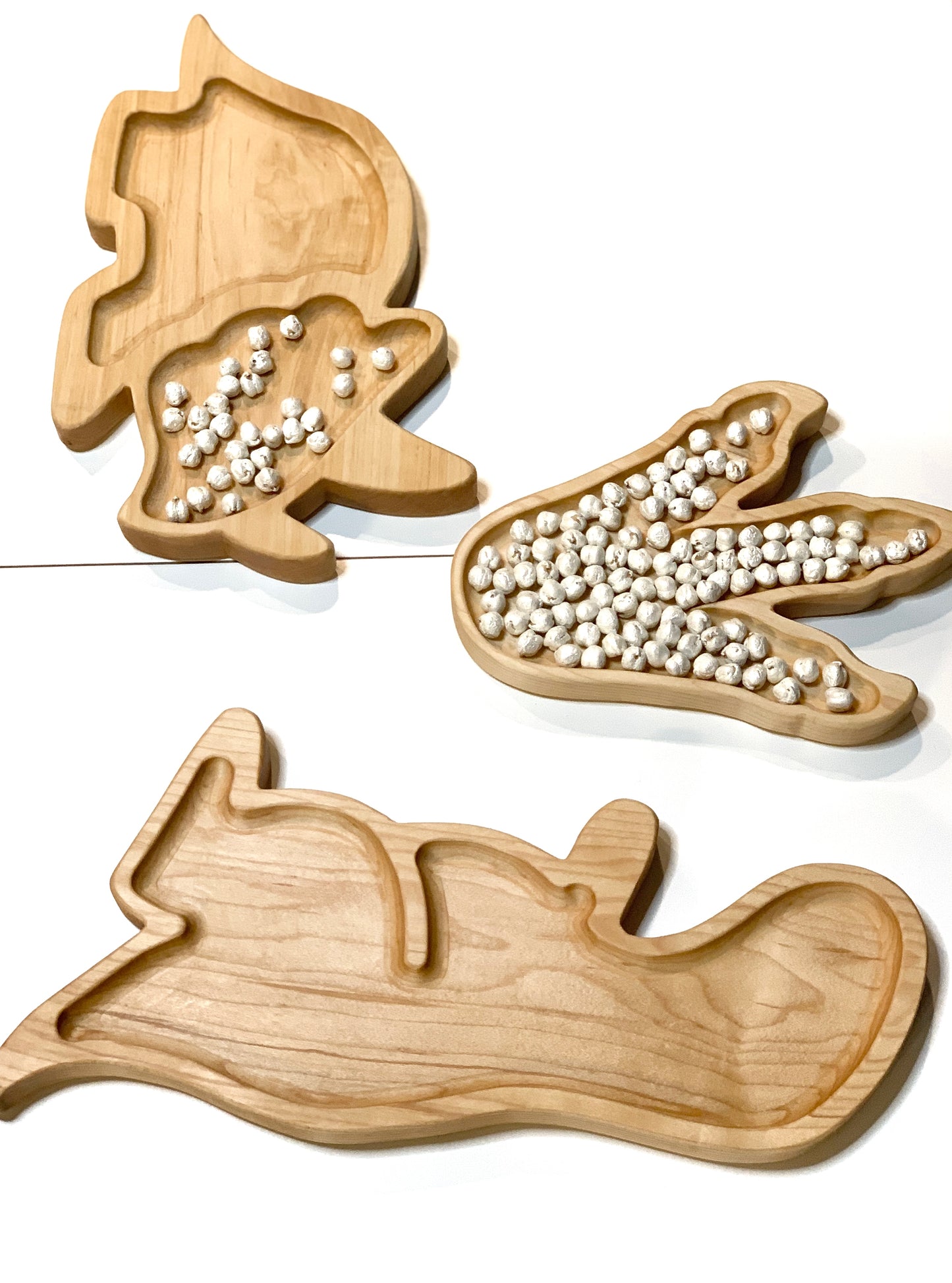 T Rex Dinosaur Plate /Sensory Trays