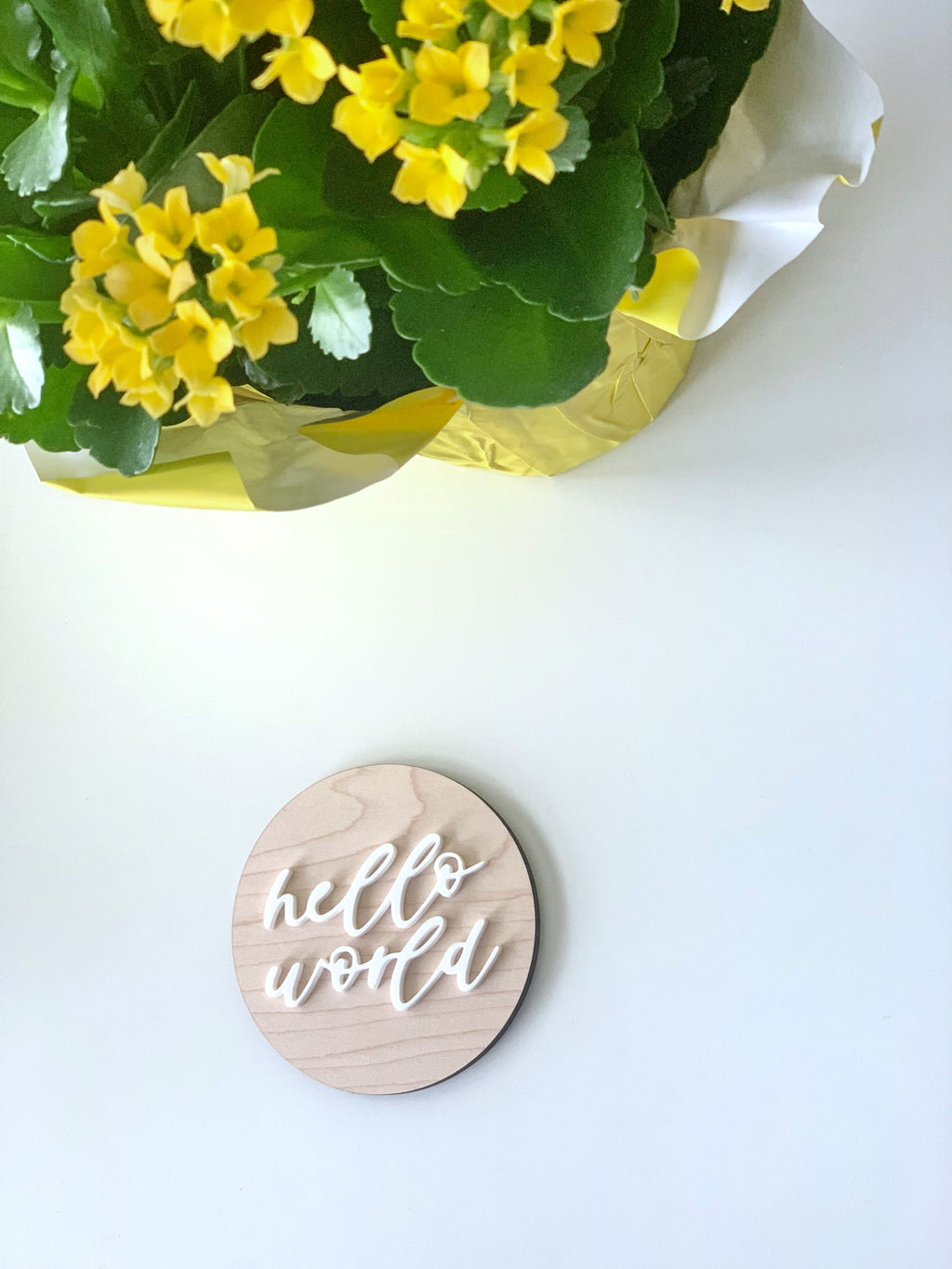 Natural wooden monthly milestone disc with raised white cursive "hello world" text beside yellow flowering plant on white surface
