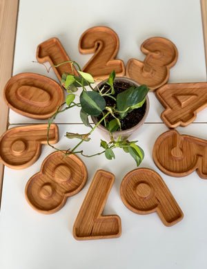 Natural wooden number plates arranged in a circle with green potted plant on white surface