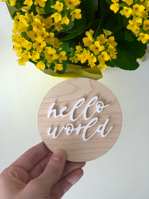Hand holding round light wooden milestone disc with white script letters saying hello world against yellow flowers background