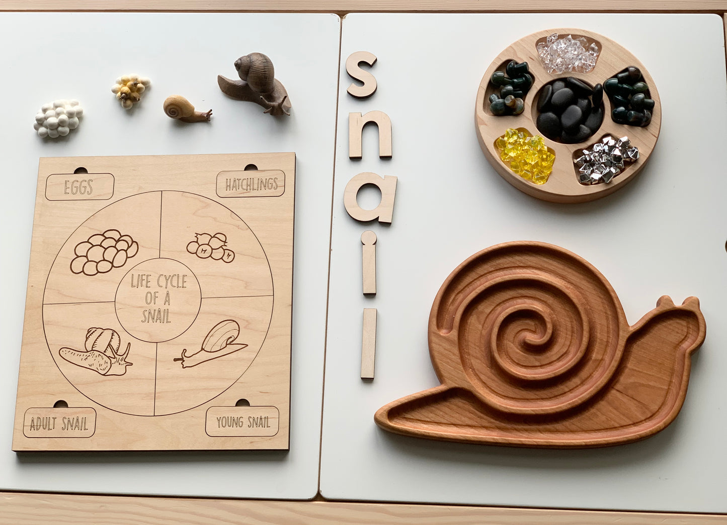 Snail Plate / Sensory Tray