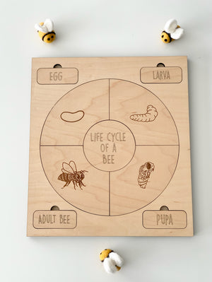 Wooden life cycle puzzle board showing bee stages egg, larva, pupa, and adult with small plush bees on white surface