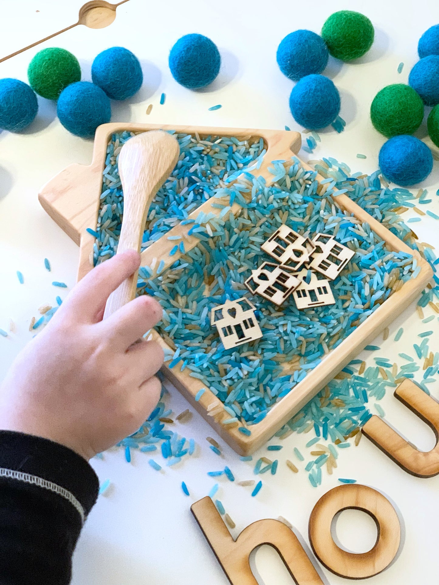 House Plate / Sensory Tray