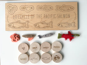 Wooden Salmon Life Cycle Puzzle with engraved fish stages and felted salmon life cycle pieces on white background