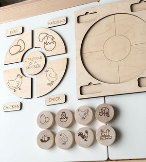 Natural wooden life cycle of a chicken puzzle with engraved animal stages and separate labeled pieces on white surface